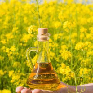 RAPESEED OIL / CANOLA OIL