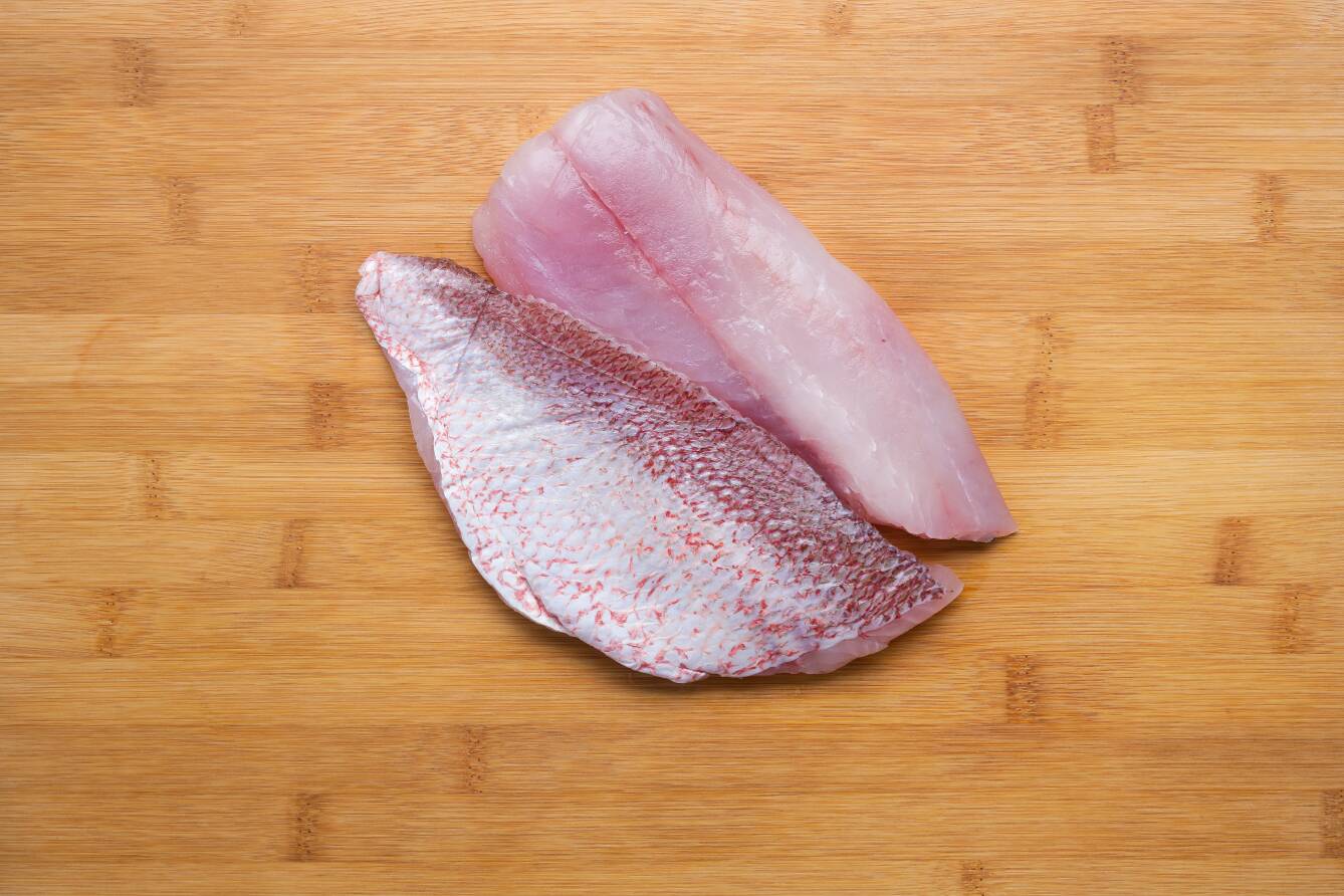 Red Snapper