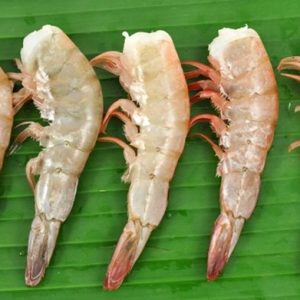 WILD MEXICAN SHRIMP - U / 12 (SHELL ON)