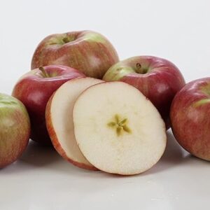 Wholesale Kauffman Orchards Fresh Mcintosh Apples