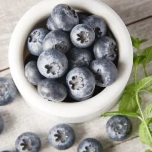 Wholesale Fresh Blueberries