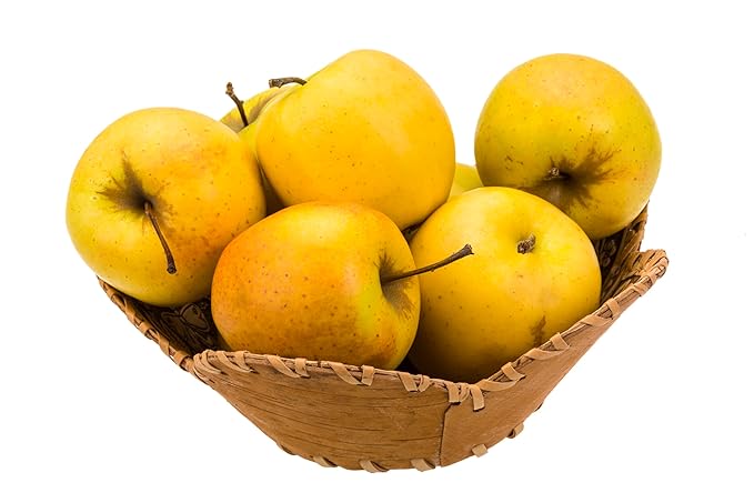 Wholesale Fresh golden delicious apples - Image 2