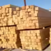 Natural oak Sawn Timber