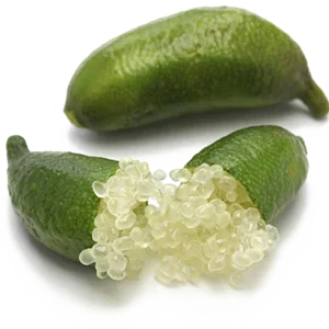 Wholesale Finger Limes