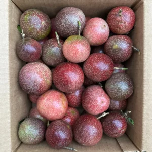 Wholesale Passionfruit Purple/Pink
