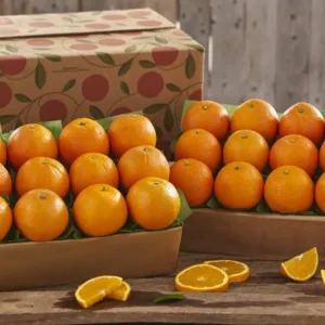 Wholesale Honey-Sweet Tangerines