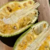 Wholesale Jackfruit Box