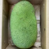 Wholesale Jackfruit Box - Image 3