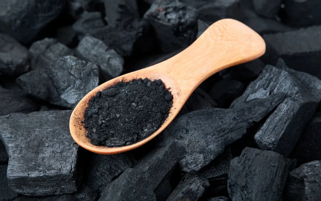 Wholesale Charcoal Suppliers: Fueling Your Business with Quality Products