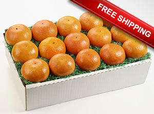 Wholesale Tangerine Time Special