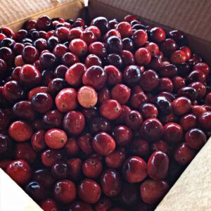 Wholesale Fresh Cranberries