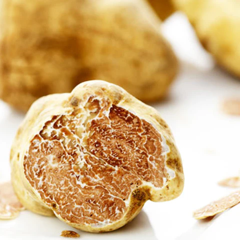 Fresh Italian White Truffles (Tuber Magnatum Pico) 8oz (230g)