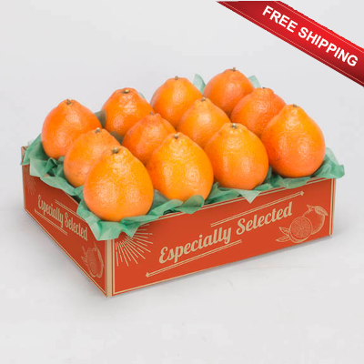 Wholesale Golden Oranges