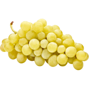 Wholesale Cotton Candy Grapes