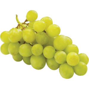 Wholesale Green Seedless Grapes