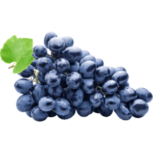 Wholesale Organic Black Seedless Grapes
