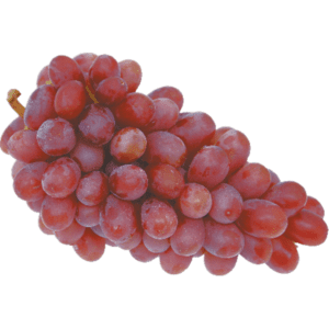 Wholesale Red Seedless Grapes